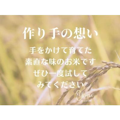 ふるさと納税 コシヒカリ 2kg 特別栽培米 鳥取県江府町産 こしひかり 精米 産地直送 お試し 4000円 2キロ 0930 鳥取県江府町