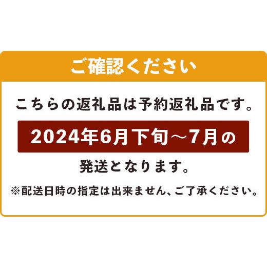 ふるさと納税 沖縄県 石垣市 《2024年6月下旬〜7月下旬発送》最高糖度23度！？ 完熟！7Lサイズ お得な幻のキーツマンゴー【沖縄 石垣島 石垣 八重山…