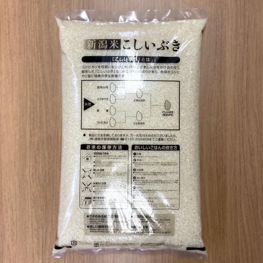 新米 米 お米 5kg セール こしいぶき 新潟産 本州送料無料 令和5年産