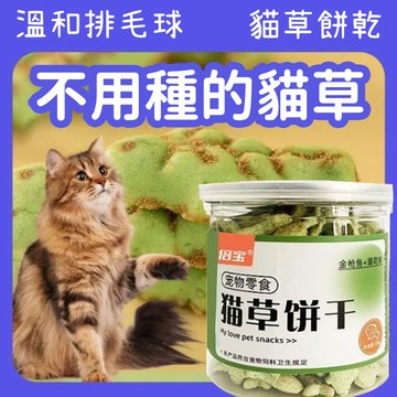 🚀[現貨/隔日達] 貓草餅乾 貓咪零食 溫和排毛球 貓咪貓薄荷餅乾 寵物餅乾  貓餅乾 貓咪磨牙零食 磨牙潔齒貓餅乾