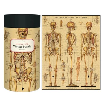 CAVALLINI&CO. 拼圖 復古拼圖 22 x 28 (55cm x 70cm)  人體骨骼 多色  1000片  1組