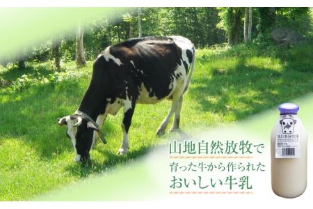 斉藤牧場の山地自然放牧牛乳（900ml×2本×6回）