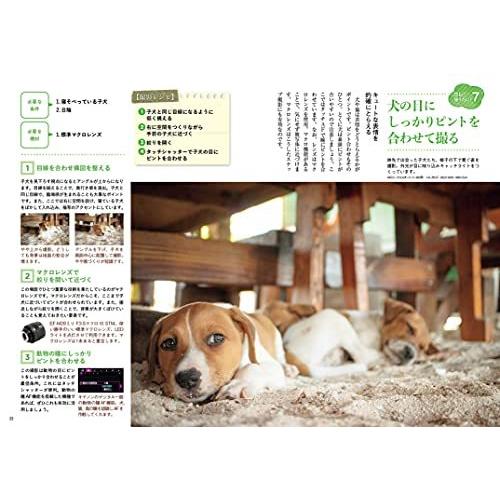 写真ライフ別冊 一生ものの撮影レシピ[雑誌]