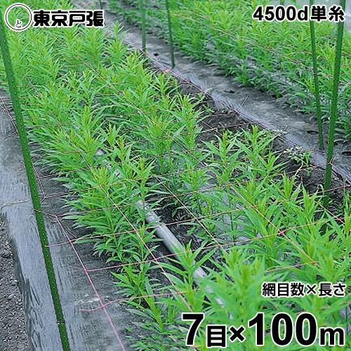 フラワーネット 4500d×1本・単糸 7目×長さ100m