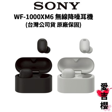 下單送INSTAX PAL拍立得【SONY 索尼】WF-1000XM6 降噪真無線耳機 (公司貨) 8+16小時續航力