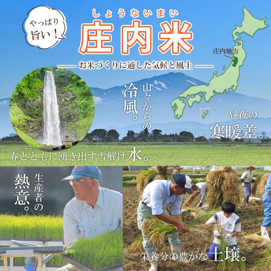 新米 令和5年 お米 20kg (無洗米 白米 玄米) 山形県産 ひとめぼれ (5kg×4袋)