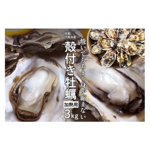 ふるさと納税 京都府 京丹後市 京都・久美浜産　殻付き牡蠣　3kg（30個前後）　牡蠣ナイフ付