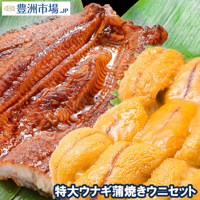 うにうなぎセット ＜松＞ 超特大国産うなぎ蒲焼き 平均250g前後×2尾 生ウニ 100g タレ付き