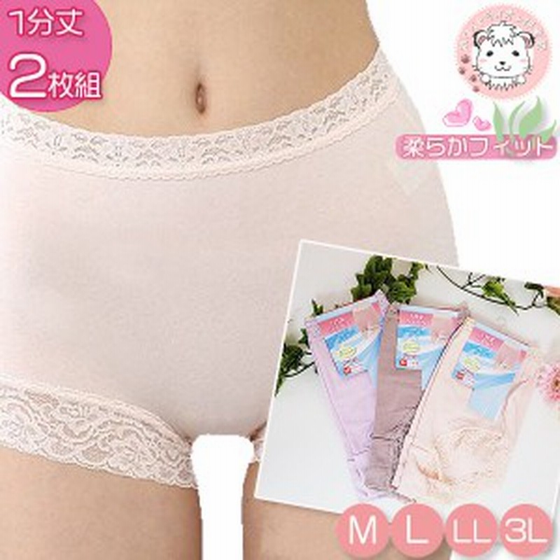 下着2枚(LL.3L) - 5