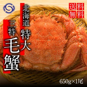 ギフト ランキング 北海道産 三特 毛がに(650g前後×1尾)　浜ゆで 蟹特大 お買い得