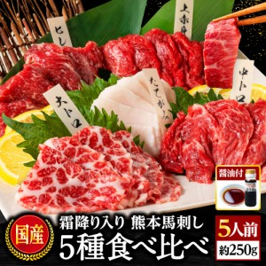 馬刺し 熊本 肉 ギフト 醤油付き 5種食べ比べセット 霜降り大トロ／中トロ入り 5人前 250g 送料無料 セット 馬刺しのたれ 利他フーズ 食