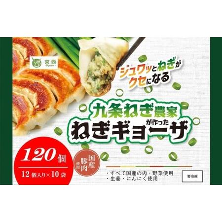 ふるさと納税 九条ねぎ農家が作ったねぎギョーザ（12個入×10袋） 京都府宇治田原町