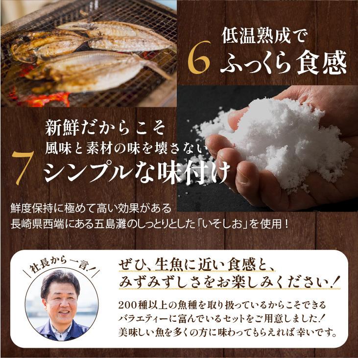 九州 お取り寄せ 干物 ひもの 食べ比べ 豪華 魚 お歳暮 ギフト 贈答 おつまみ 帰省暮 添加物不使用 無添加