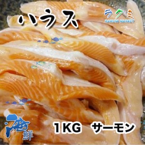 業務用 サーモン ハラス 切り落とし 1kg x トラウトサーモン