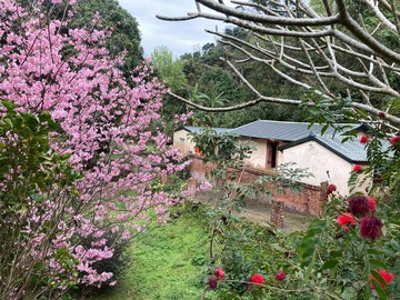 專任北埔古厝三合院建+農｜新竹縣北埔鄉北埔段北埔小段