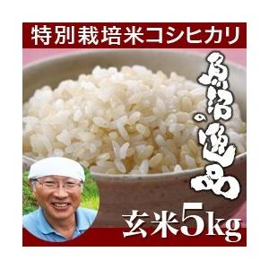 魚沼産 コシヒカリ 魚沼の逸品 玄米 5kg　新潟県産　ギフト　贈り物　贈答品　内祝い　のし無料　特別栽培（生産者佐藤）