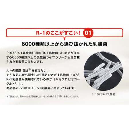 ふるさと納税 明治 プロビオヨーグルト R-1 ドリンクタイプ 低糖・低カロリー ブルーベリー 112g×36本（各12本×3種.. 茨城県守谷市