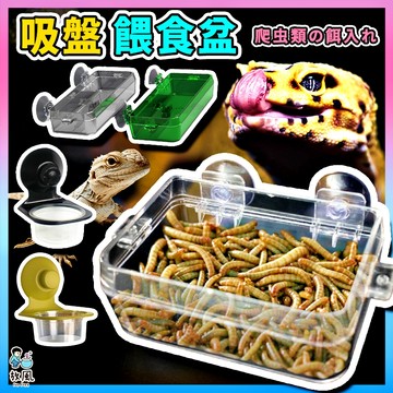 放風爬蟲大王🦎【防逃懸浮餵食水盆】蟲盒 食盆水盆 餵食台 餵食盆 飼料盆 水盆 兩棲飼養盒 飼養箱 爬蟲烏龜變色龍人守宮