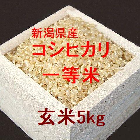 新潟県産コシヒカリ 一等米 玄米5kg （令和4年産）