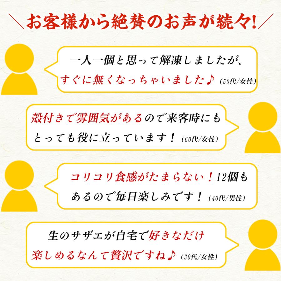 山陰沖産　さざえスライス　12粒入　（一粒100〜130g）サザエ　栄螺　お刺身　晩酌　ギフト