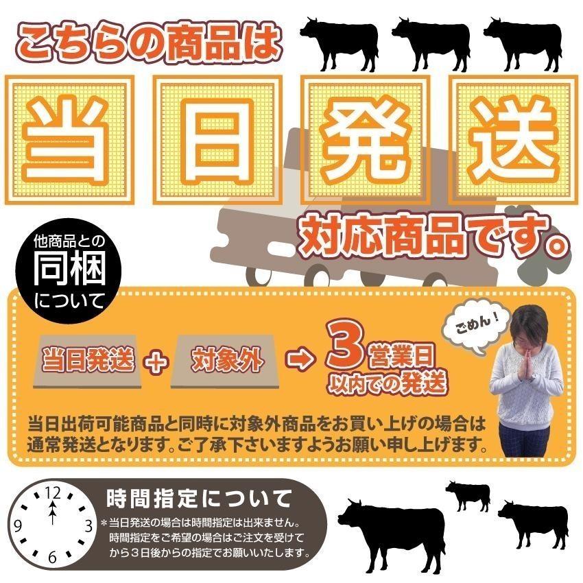 餃子 ギョウザ ギョーザ レンジ調理 中華 120個入り 3kg(1kg×3) 点心 中華料理 惣菜 冷凍 お弁当 あすつく 業務用 温めるだけ レンチン 冷食