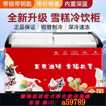 【廠家直銷 可打統編】甄力冰柜商用大容量雪糕柜弧形玻璃門單雙溫冷藏冷凍銅管