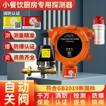 【最低價】【公司貨】可燃氣泄漏探測報警器商用工業餐飲飯店煤氣罐天然氣液化氣檢測儀