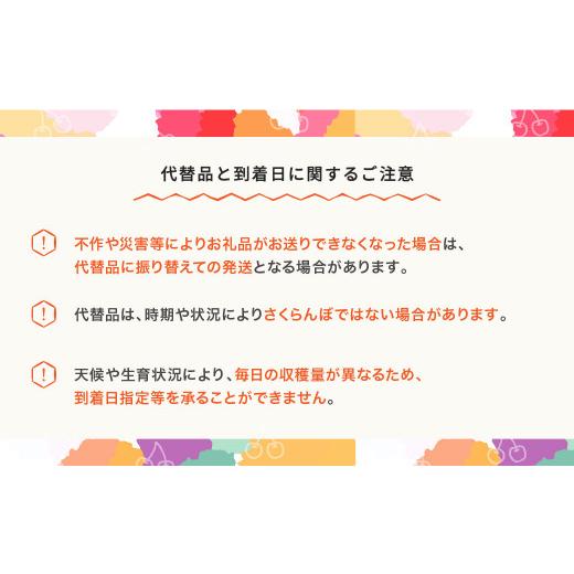 ふるさと納税 山形県 村山市 先行予約 さくらんぼ 佐藤錦 赤秀 500g×2パック L-2L玉 バラ詰 ご家庭用 2024年産 令和六年産 山形県産 mm-snpcx1000