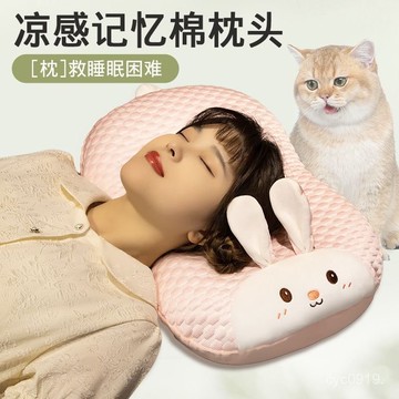 🔥臺灣出貨🔥夏天枕頭涼感冰豆豆枕套記憶棉枕護頸椎助睡眠學生宿捨兒童單人枕