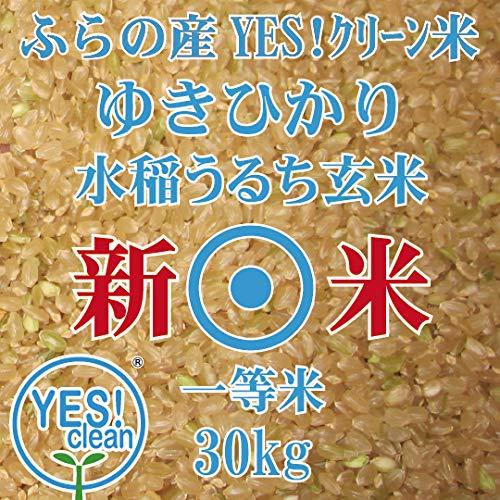 令和４年産　北海道産　ゆきひかり　玄米　30kg