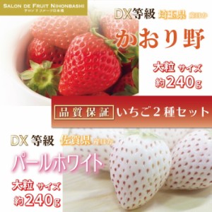 [予約 2024年1月5日-1月30日の納品] かおり野 × パールホワイト 約240g×4パック DX 化粧箱 いちご