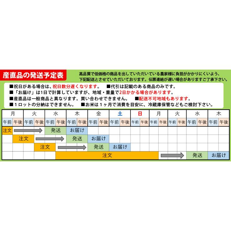 お米 25kg 新米 白米 送料無料 はえぬき 山形県産 令和5年産 1等米 沖縄・離島配送不可