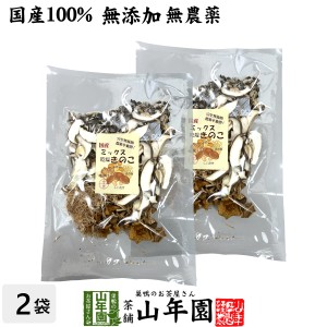 ミックス乾燥きのこ 60g×2袋セット 農薬不使用 送料無料 しいたけ 舞茸 えのき茸 なめこ 妊婦 ダイエット 食物繊維 贈り物 ギフ