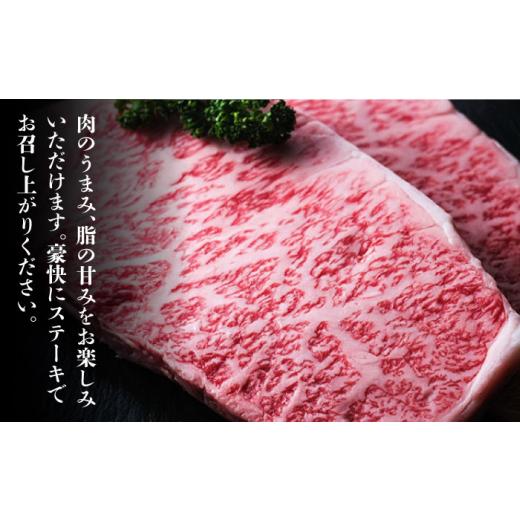 ふるさと納税 福岡県 那珂川市 大満足！ 博多和牛 牛肉 サーロイン ステーキ 500g（250g×2）＜肉のくまもと屋＞ [GBI035]