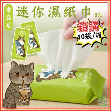 🔥隔日到貨🔥[箱購]棠品居迷你濕紙巾 濕紙巾 溼紙巾 小包濕紙巾 隨身濕紙巾 迷你濕紙巾 純水濕紙巾 濕巾 隨身包濕紙巾