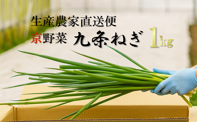 生産農家直送　京野菜・九条ねぎ　約1kg