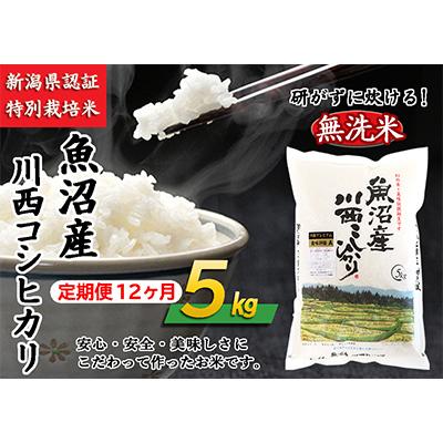 ふるさと納税 十日町市 新潟県認証米 魚沼産川西こしひかり5kg 全12回