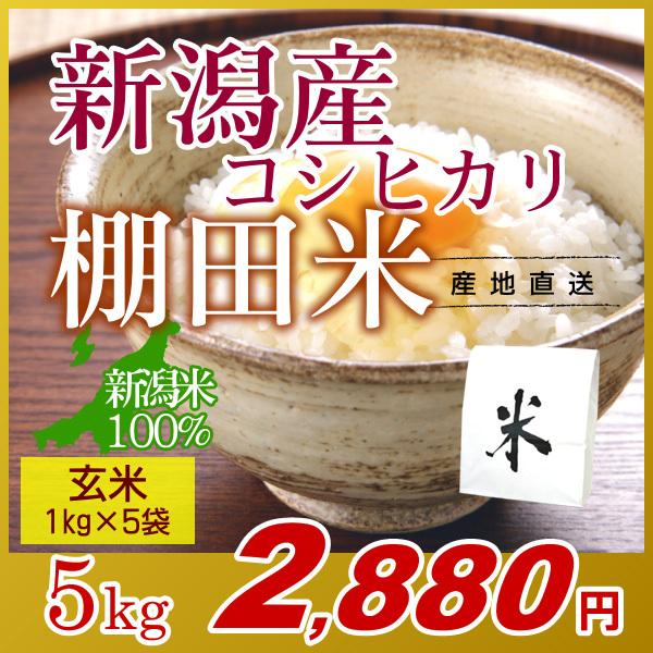 新潟コシヒカリ 玄米 5kg(1kg×5袋)／新米 米 お米 新潟 コシヒカリ こしひかり 新潟米 棚田米 小袋 おいしいお米 5キロ