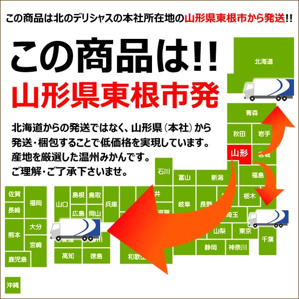 産地厳選 国産 温州みかん 訳あり品 10kg 蜜柑 柑橘類 みかん ミカン 蜜柑 ギフト 贈り物 贈答用 果物 フルーツ グルメ 送料無料 お取り寄せ