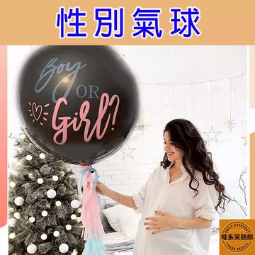 性別揭示氣球 36吋 氣球 性別派對 性別趴 揭曉性別派對 性別揭示派對 氣球佈置 性別揭示 派對氣球 寶寶派對 猜性別