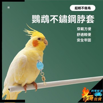 【台灣出貨】鳥類不鏽鋼脖套 虎皮 牡丹 玄鳳 鸚鵡脖套 鳥用脖鏈子 太陽 和尚 站架站槓鏈 小鳥外出牽引脖圈