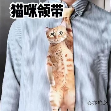💗臺灣出貨💗休闲个性领带时尚趣味配饰经理可爱小猫小众卡通新款猫咪领带抽象