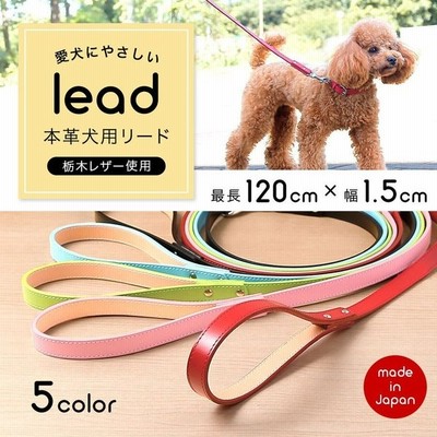 犬 リード 犬用リード 小型犬 中型犬 革 革製 皮 本革 レザー 栃木レザー おしゃれ かわいい 犬のリード 首輪 シンプル 15mm 通販 Lineポイント最大get Lineショッピング