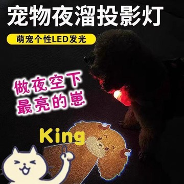 【臺灣出貨】客製寵物投影社交燈 一鍵開啟 LED 照明隨身掛戴 犬專用吊牌可印資訊防走失 防水耐撞外殼夜行持續亮燈