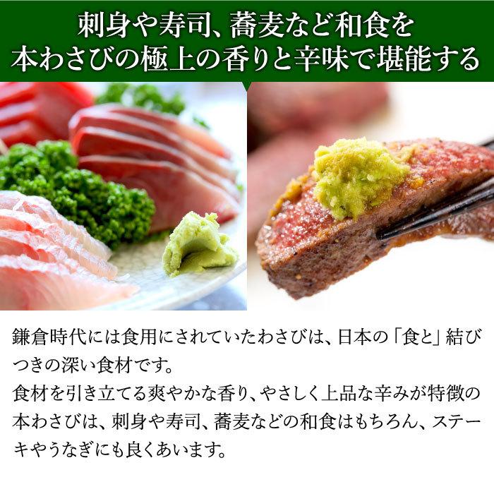 わさび栽培発祥の地「有東木」の本わさび　特大サイズ1本（1本100g以上） ワサビ 山葵 静岡 有東木 送料無料