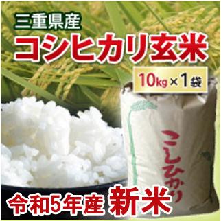 コシヒカリ 玄米 10kg（小袋 小分け） 令和5年産  新米  三重県産 米 お米 コメ 10キロ