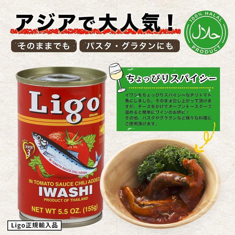 Ligo イワシのトマト煮 チリ 155g x 50缶ケース販売防災 備蓄 保存食 いわし缶