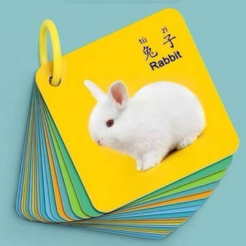 📣爆款推薦📣兒童動物卡片嬰幼兒認知早敎啟懞書一嵗寶寶識字看圖識物益智玩具 G3LS