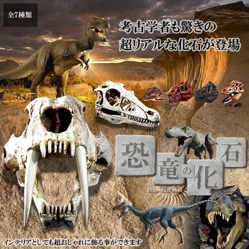 超リアル 恐竜の化石 考古学者 驚き レプリカ 白亜紀 ティラノサウルス グアンロン ハドロサウルス 大人 子供 Et Kaseki 通販 Lineポイント最大0 5 Get Lineショッピング