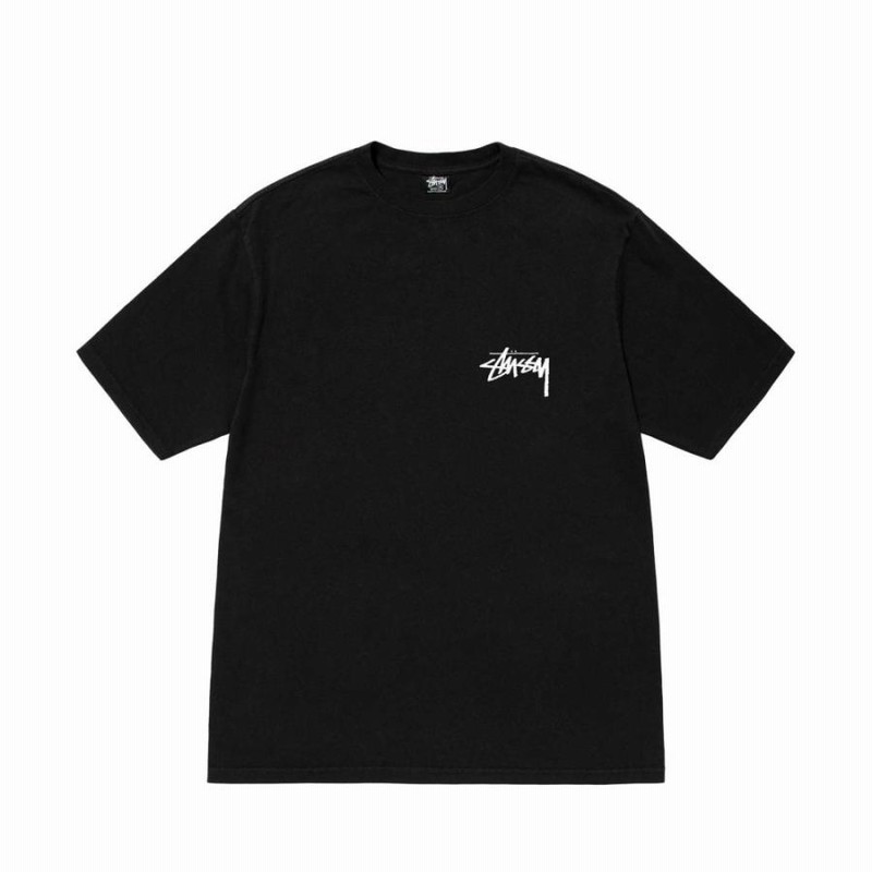 ステューシー) STUSSY CLUB CROWN PIG. DYED TEE 1904854 メンズ